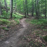 Review photo of Little River State Park Campground by Tony F., September 1, 2018