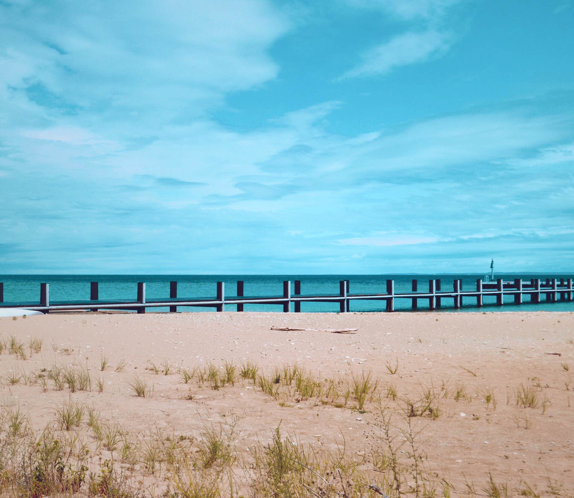 Camper submitted image from North Manitou Island Backcountry Campsites - 2