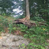 Review photo of Little River State Park Campground by Tony F., September 1, 2018