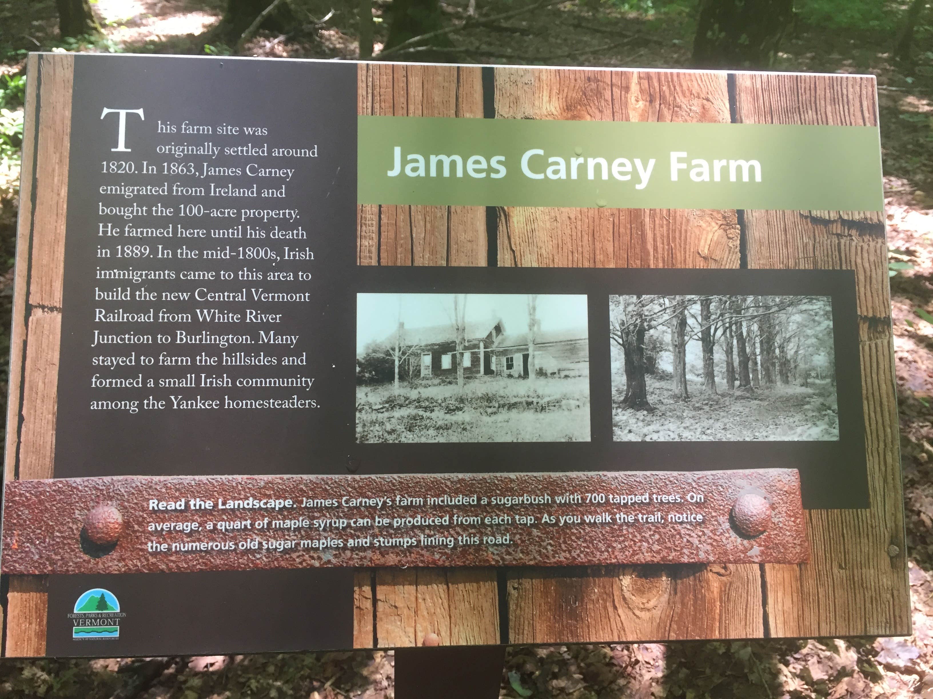 Camper submitted image from Little River State Park Campground - 5