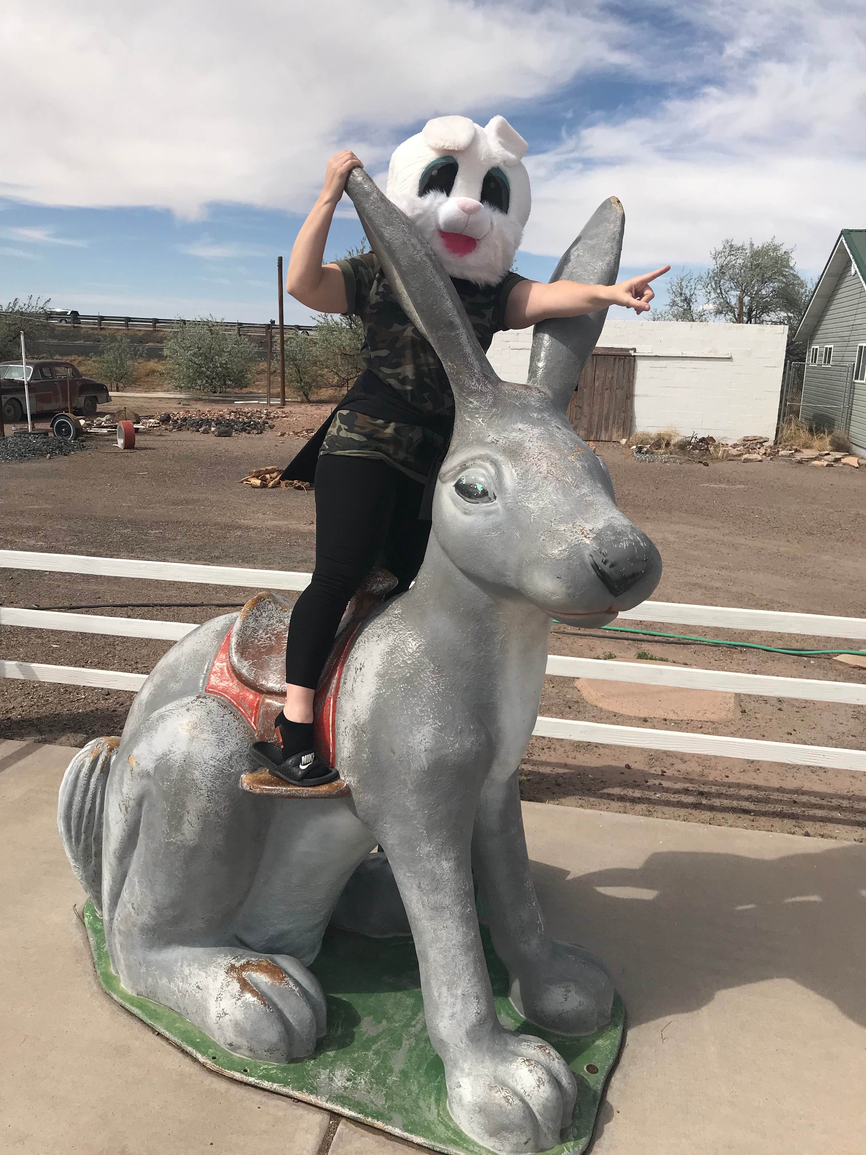 Camper-submitted photo at OK RV Park near Chambers, AZ