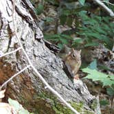 Review photo of North Manitou Island Backcountry Campsites by Jen W., September 1, 2018