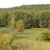 Review photo of North Manitou Island Backcountry Campsites by Jen W., September 1, 2018