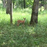 Review photo of Knob Noster State Park Campground by Jim S., September 1, 2018