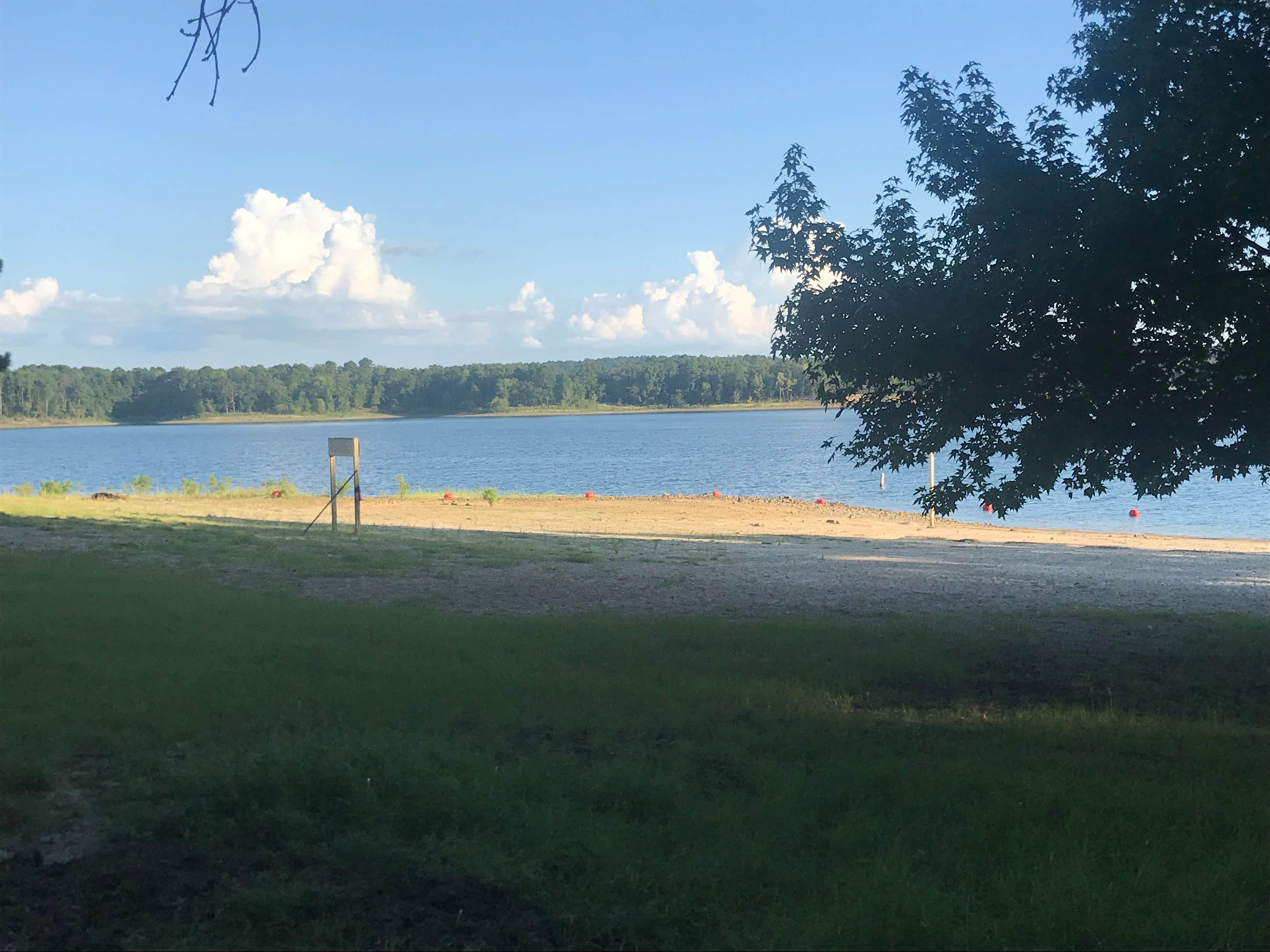 View All