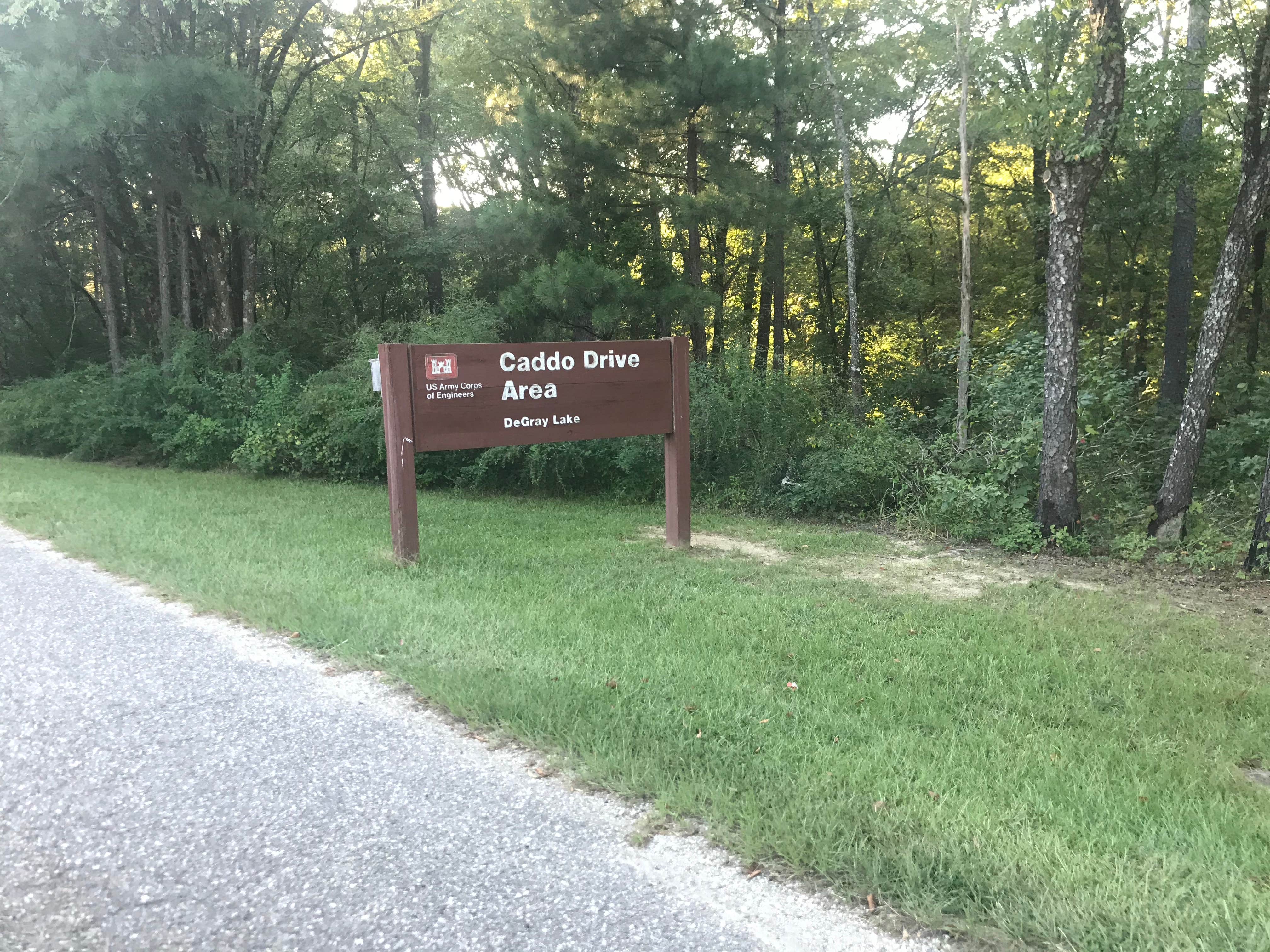 Camper submitted image from Caddo Drive - De Gray Lake - 2