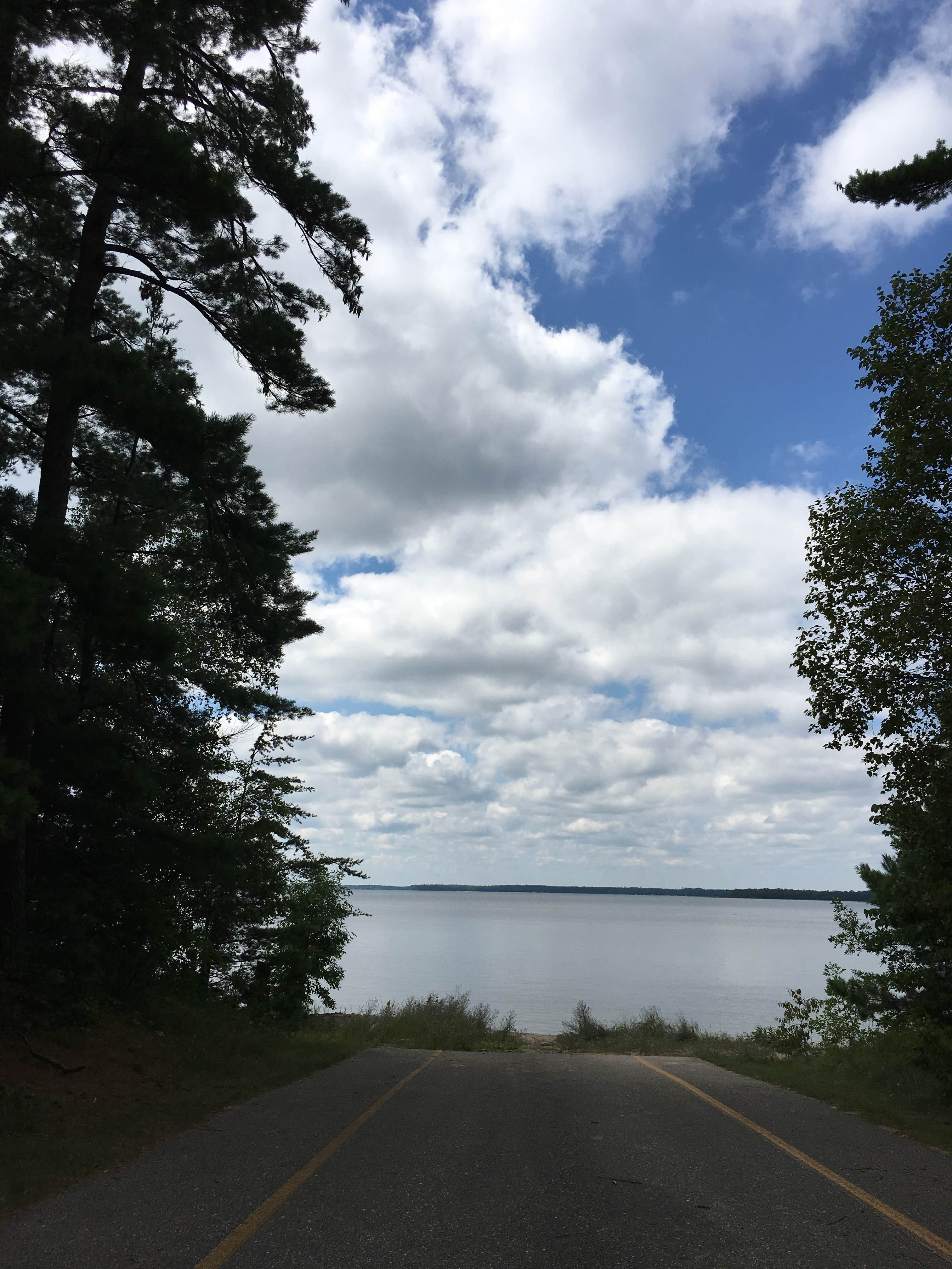 View All
