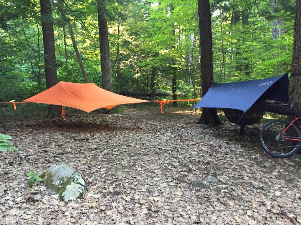 Camper submitted image from Hearthstone Point Campground - 2