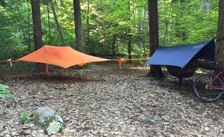 Tony F.'s photo at Hearthstone Point Campground near Diamond Point, NY