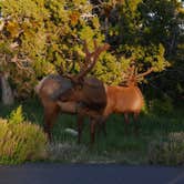 Review photo of Mather Campground — Grand Canyon National Park by Amanda M., September 1, 2018