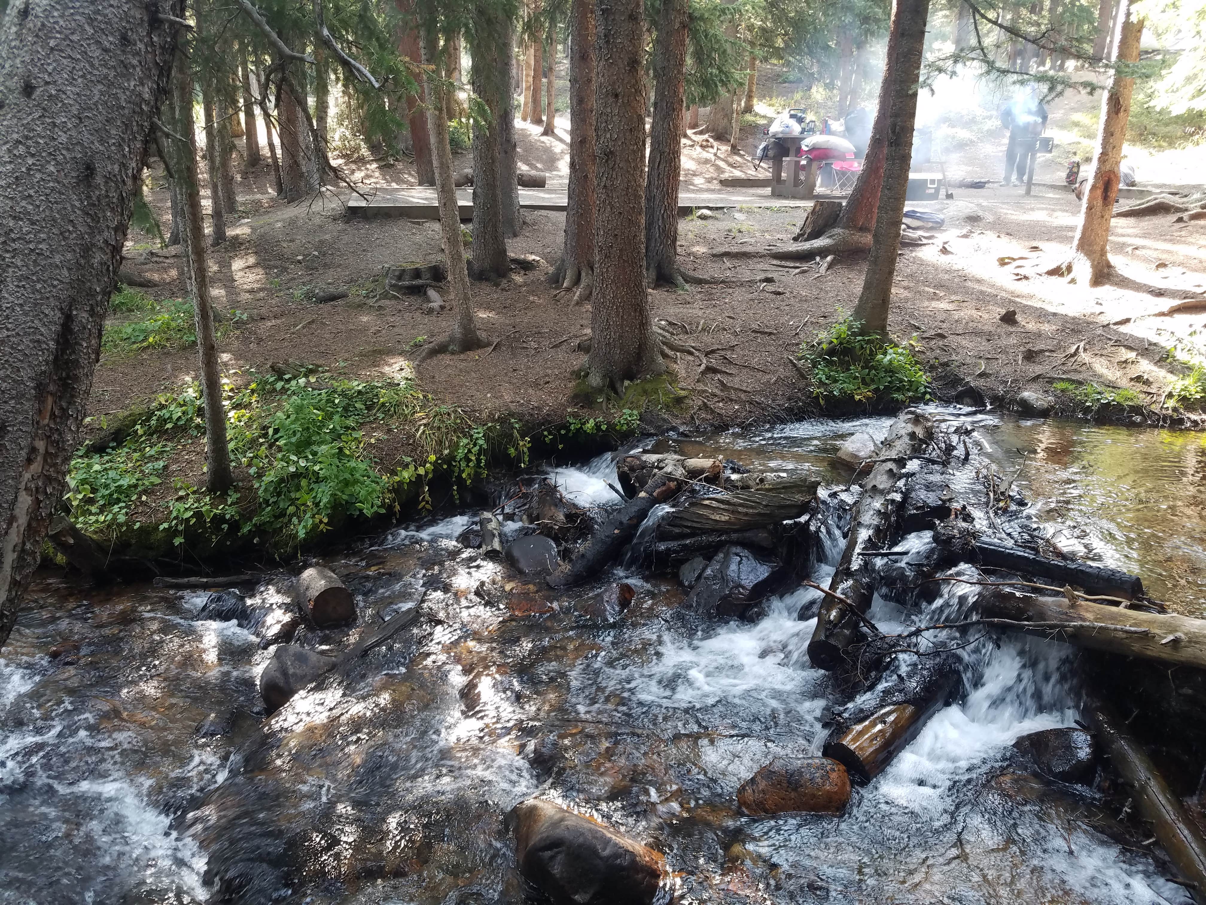 Camper submitted image from Guanella Pass Scenic Byway Dispersed Camping - PERMANENTLY CLOSED - 4