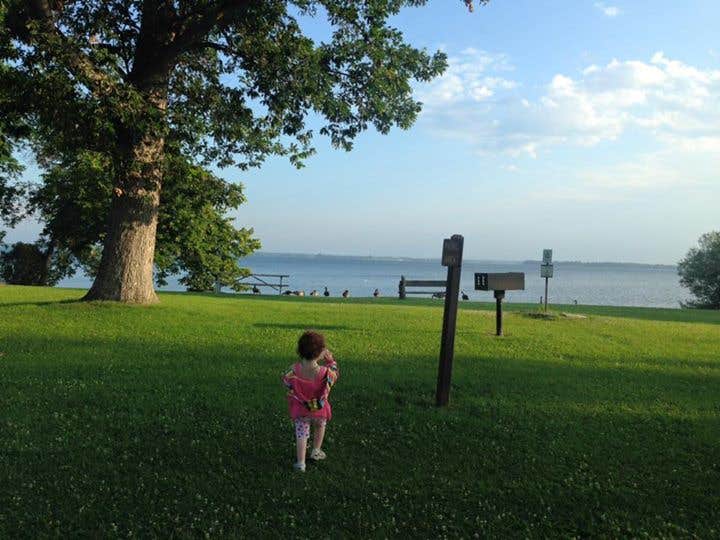 Camper submitted image from Long Point State Park - Thousand Islands - 2