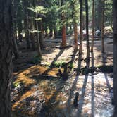 Review photo of Guanella Pass by paul R., September 1, 2018
