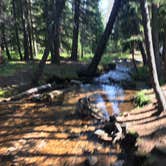 Review photo of Guanella Pass by paul R., September 1, 2018
