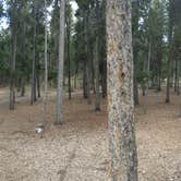 Review photo of Deer Creek Campground — Golden Gate Canyon by paul R., September 1, 2018