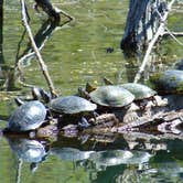 Review photo of Louisville State Recreation Area by Shannon G., September 1, 2018