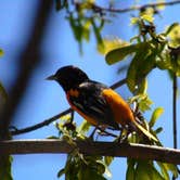 Review photo of Louisville State Recreation Area by Shannon G., September 1, 2018