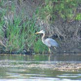 Review photo of Louisville State Recreation Area by Shannon G., September 1, 2018