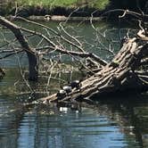 Review photo of Louisville State Recreation Area by Shannon G., September 1, 2018