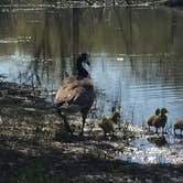 Review photo of Louisville State Recreation Area by Shannon G., September 1, 2018