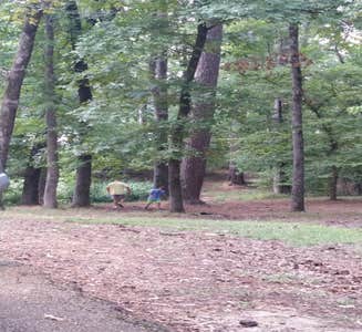 Camper-submitted photo from North Campground — Chicot State Park