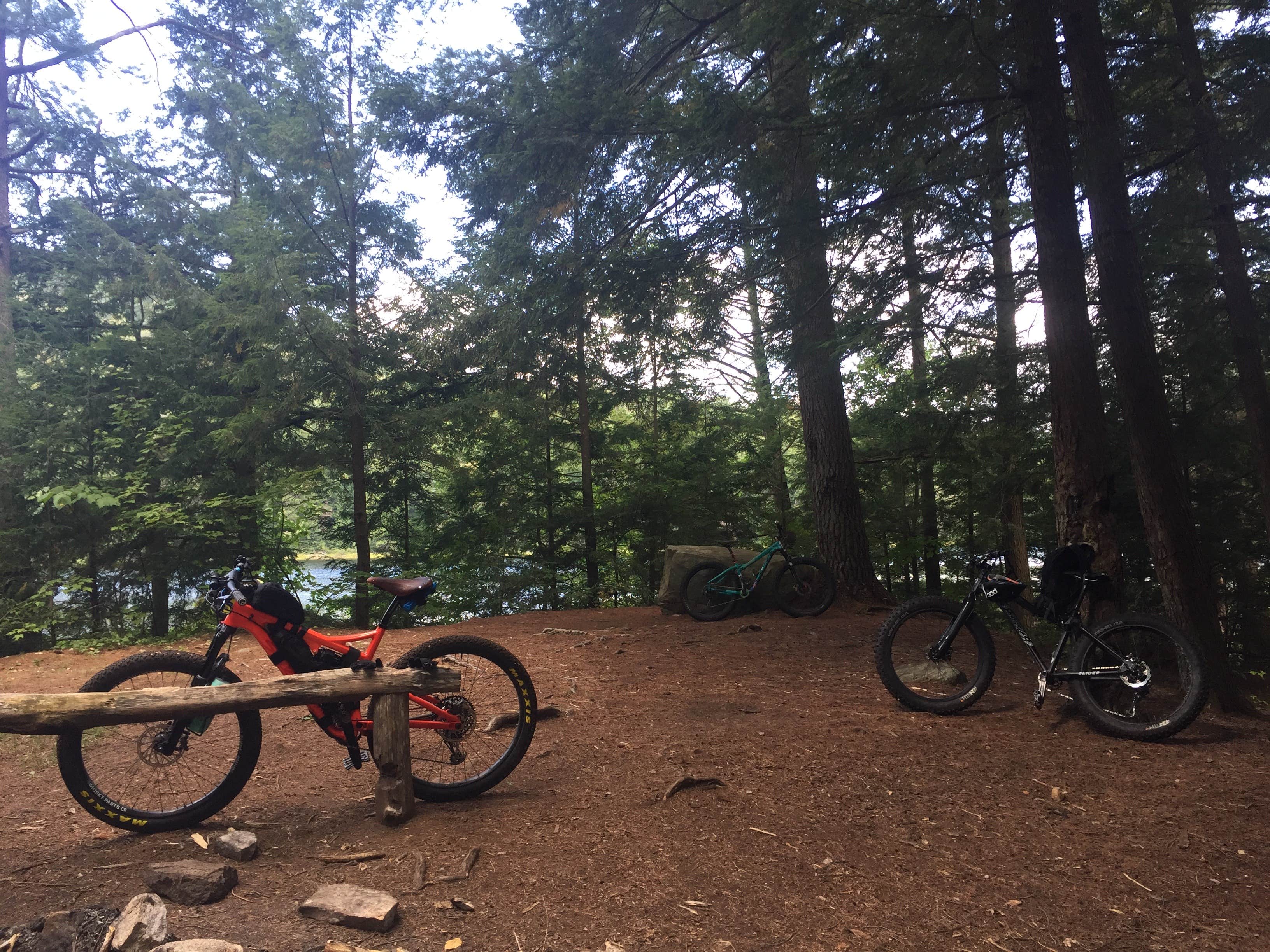 Camper submitted image from Murphy Lake Leanto - 3