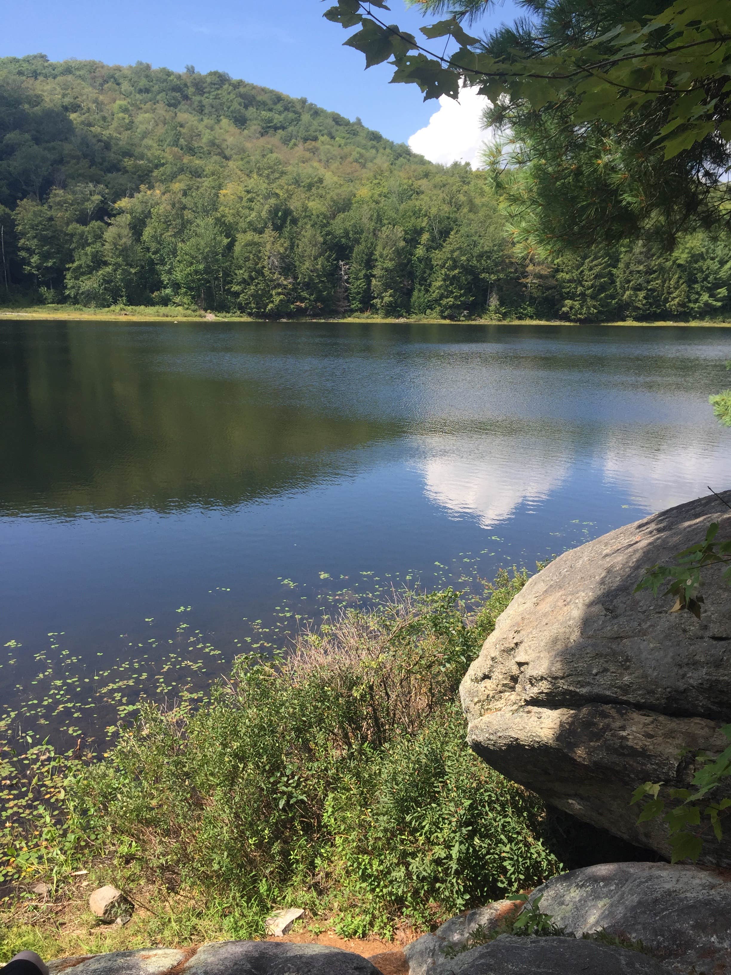 Camper submitted image from Murphy Lake Leanto - 2