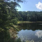 Review photo of Murphy Lake Leanto by Tony F., September 1, 2018