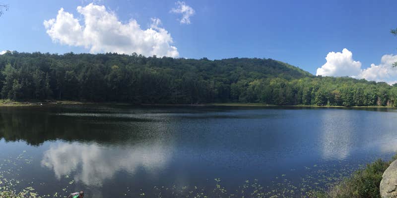 Camper submitted image from Murphy Lake Leanto
