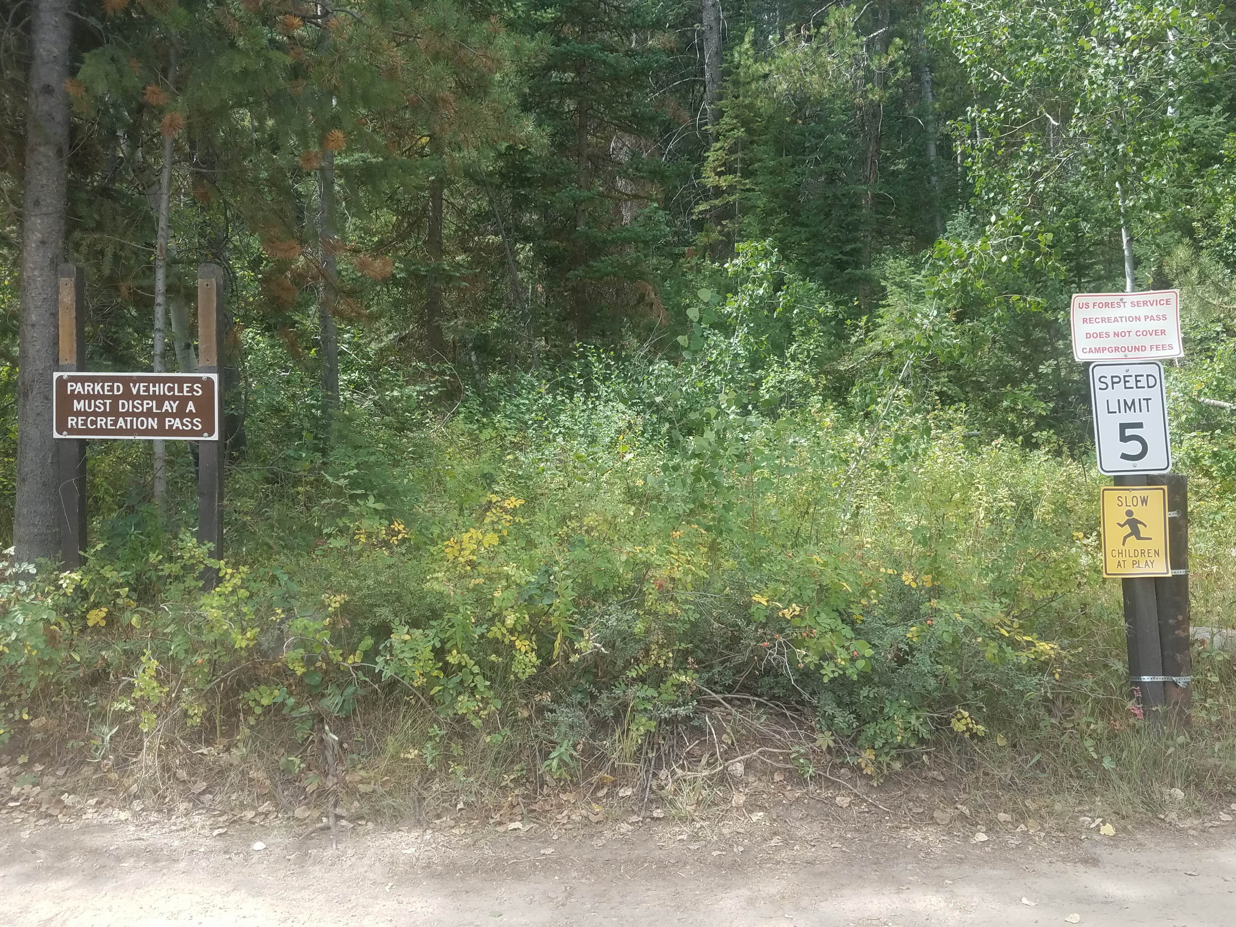 Camper-submitted photo at Shingle Creek ATV Campground near Coalville, UT