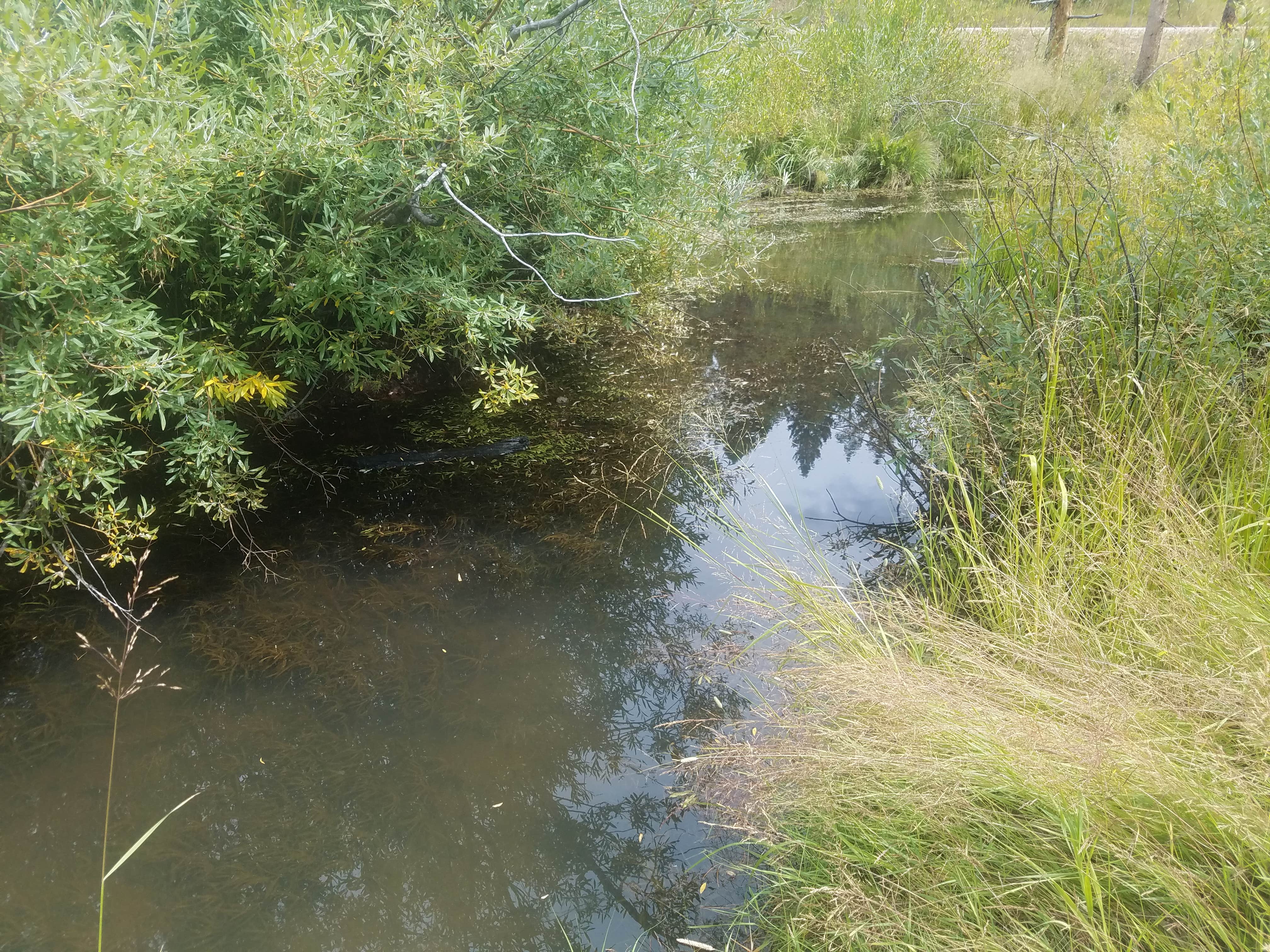 Camper-submitted photo at Shingle Creek ATV Campground near Coalville, UT