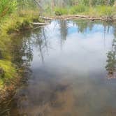 Review photo of Shingle Creek ATV Campground by Alan B., September 1, 2018