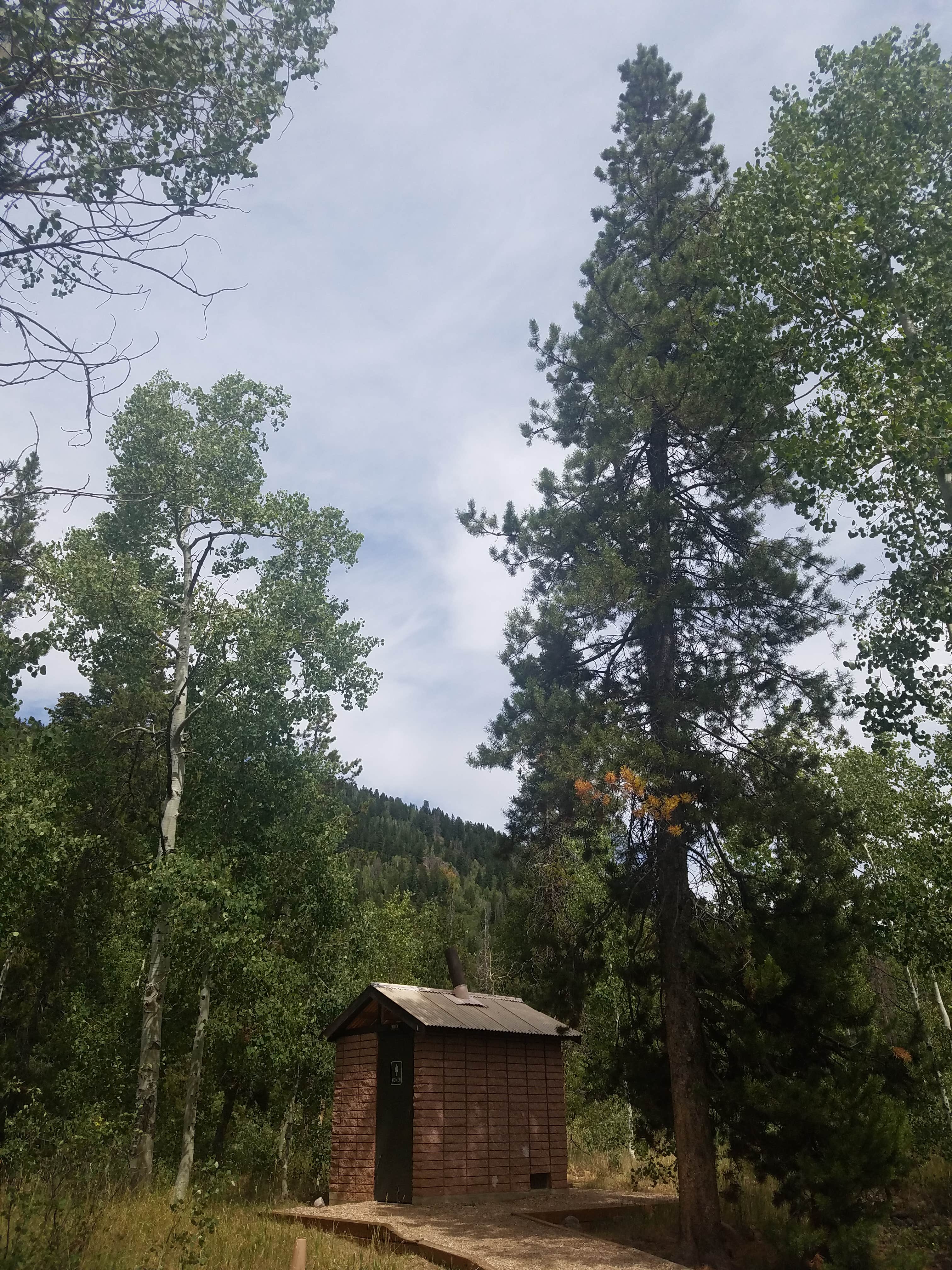 Camper submitted image from Shady Dell Campground — Uinta Wasatch Cache National Forest - 2