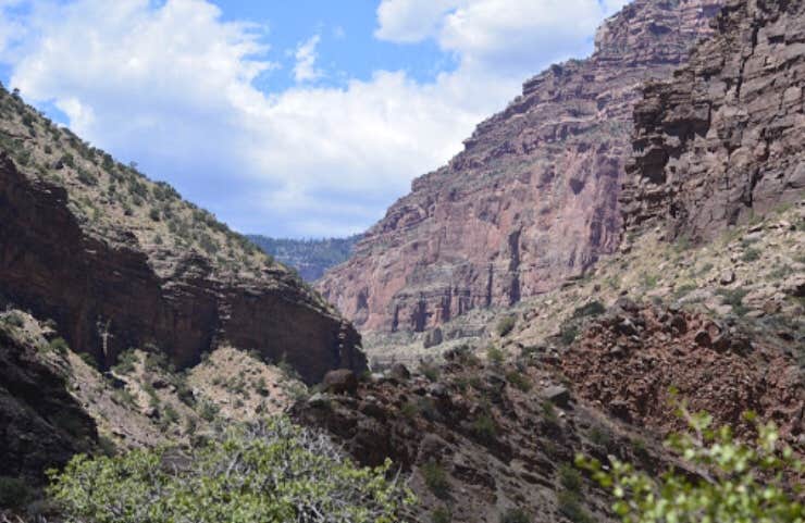 Camper-submitted photo at Cottonwood Campground — Grand Canyon National Park near Tuba City, AZ