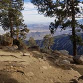 Review photo of Idyllwild Campground by Michael K., September 1, 2018