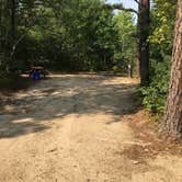 Review photo of Woodland Acres by Asher K., September 1, 2018