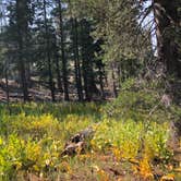 Review photo of Summit Lake South — Lassen Volcanic National Park by Brian C., September 1, 2018