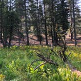 Review photo of Summit Lake South — Lassen Volcanic National Park by Brian C., September 1, 2018