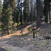 Review photo of Summit Lake South — Lassen Volcanic National Park by Brian C., September 1, 2018