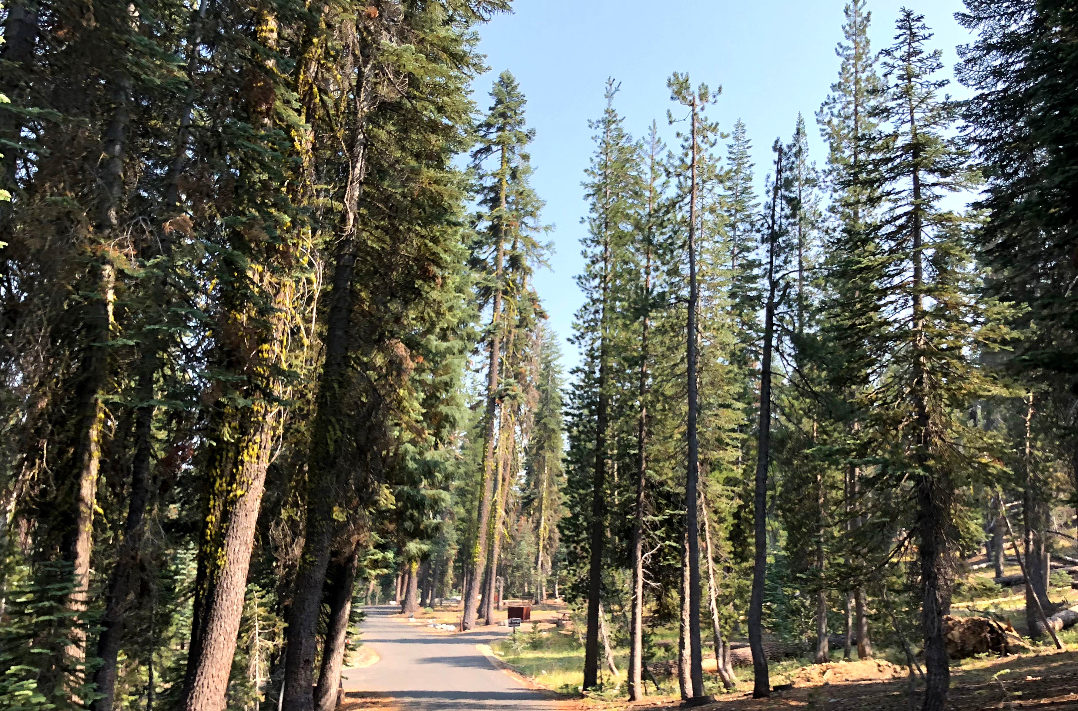Camper-submitted photo at Summit Lake South — Lassen Volcanic National Park near Chester, CA