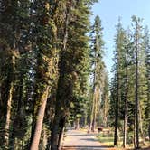 Review photo of Summit Lake South — Lassen Volcanic National Park by Brian C., September 1, 2018