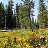 Review photo of Summit Lake South — Lassen Volcanic National Park by Brian C., September 1, 2018