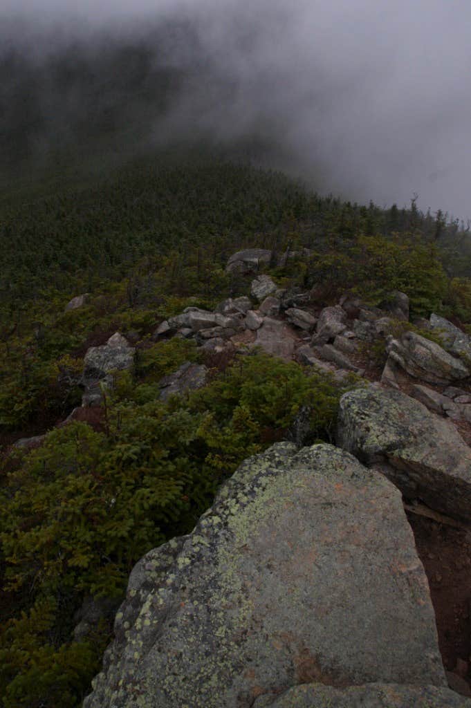Camper-submitted photo at Guyot Shelter - Dispersed Camping near Denmark, ME