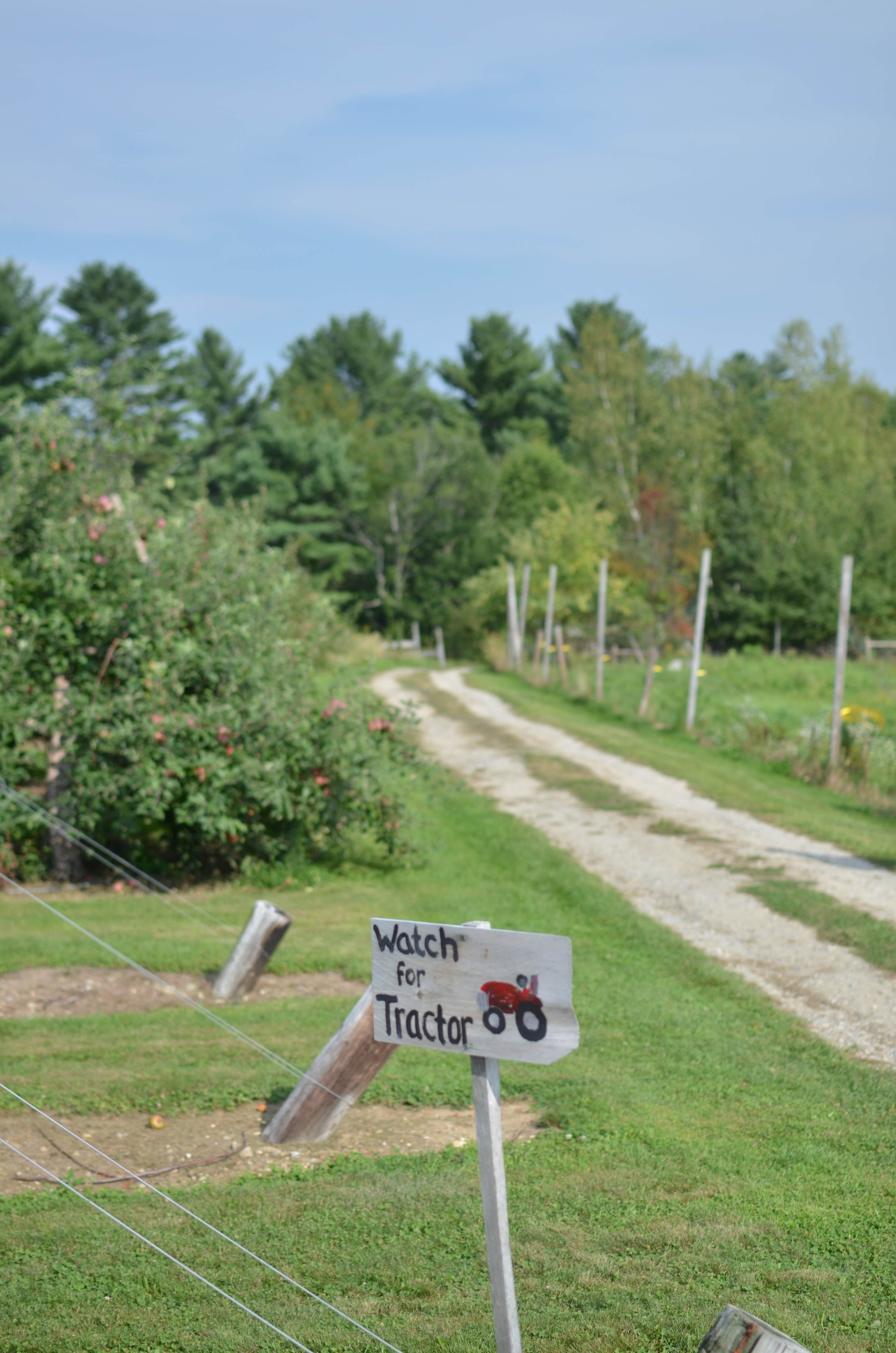 Camper submitted image from Boothby's Orchard - 4