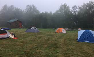 Asher K.'s photo of tent camping at Boothby's Orchard near Unity, ME