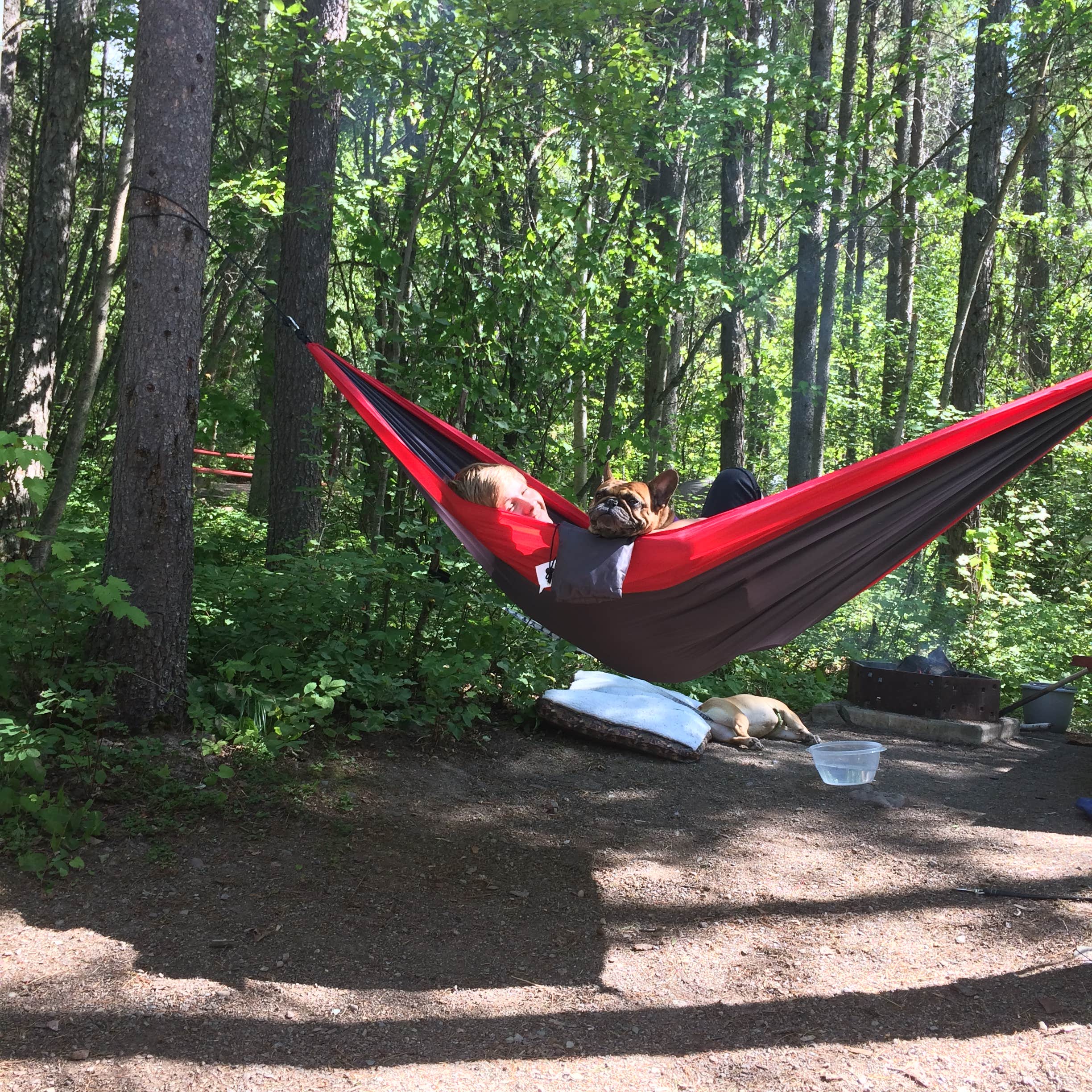 Camper submitted image from Glacier Campground - 4
