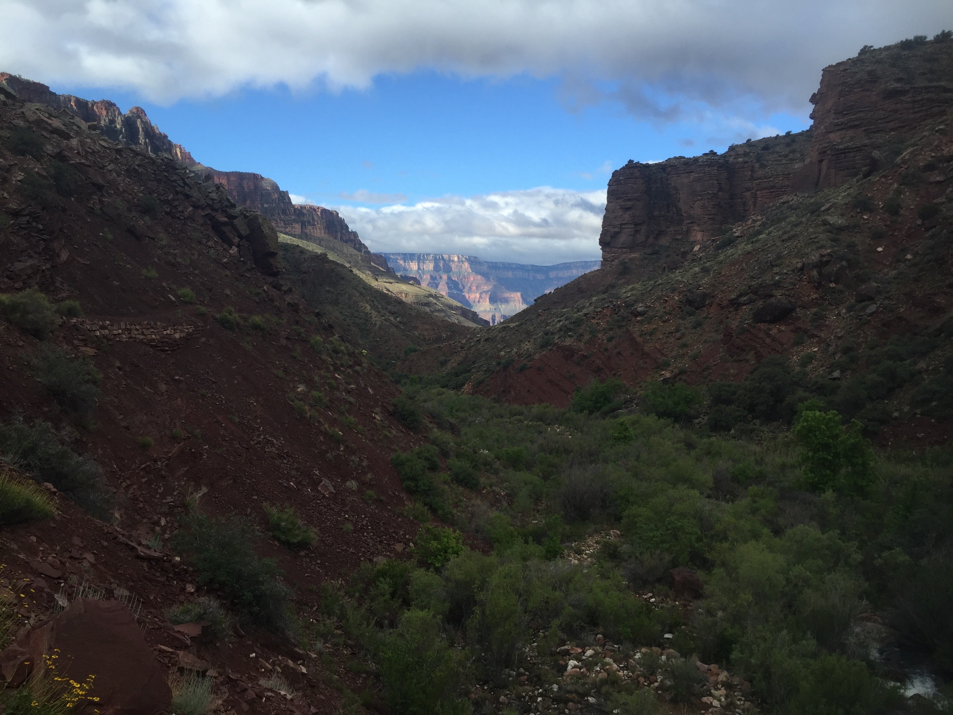 Camper submitted image from Cottonwood Campground — Grand Canyon National Park - 2