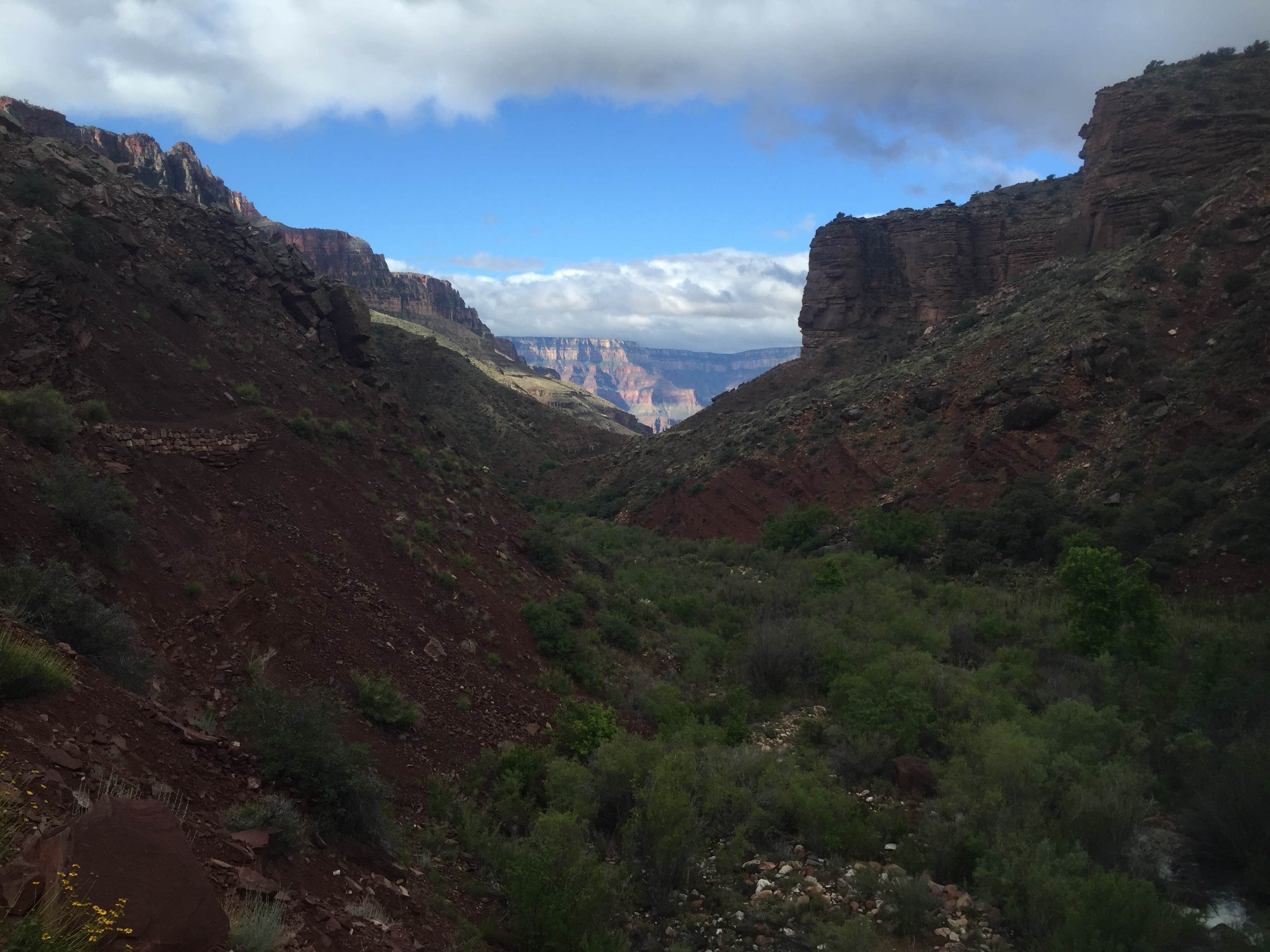 Camper submitted image from Cottonwood Campground — Grand Canyon National Park - 2