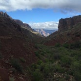 Review photo of Cottonwood Campground — Grand Canyon National Park by Lauren R., August 3, 2016