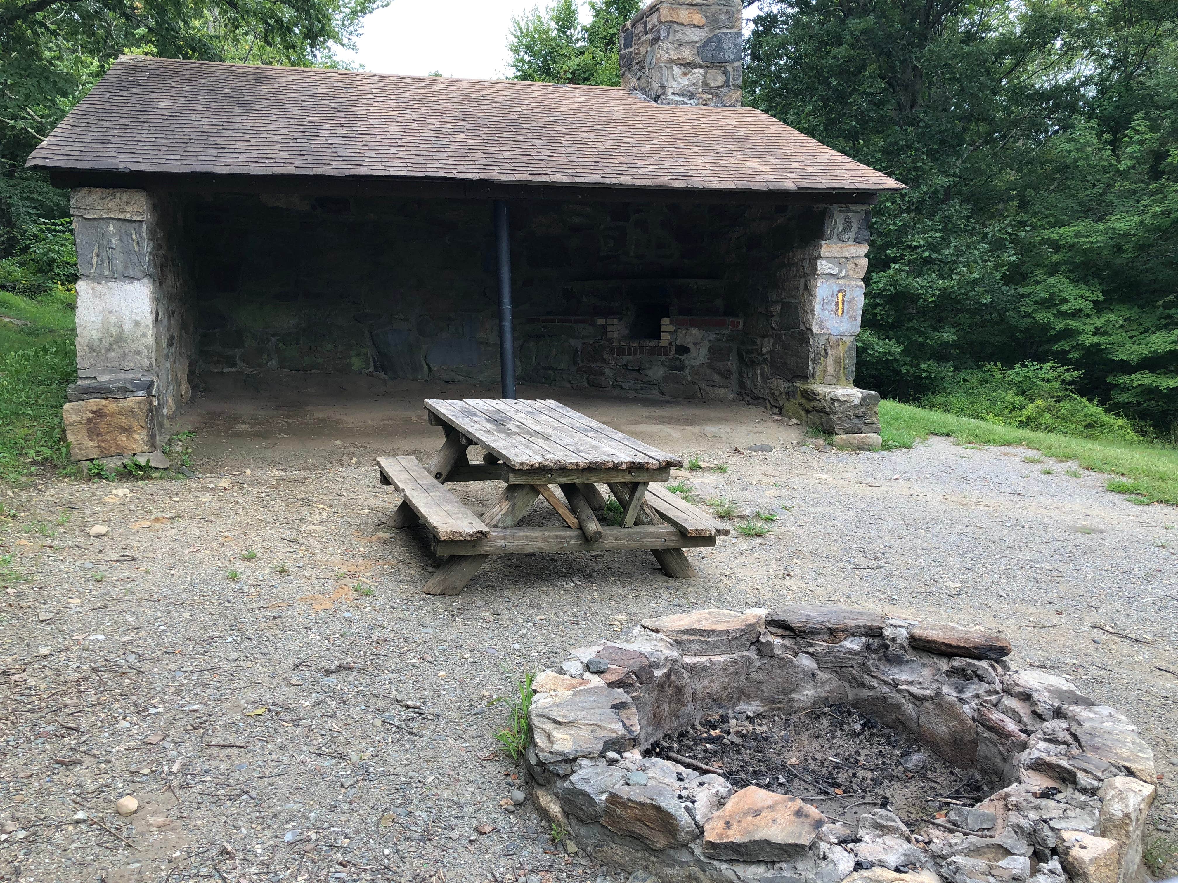 Camper submitted image from Ward Pound Ridge Reservation - 3